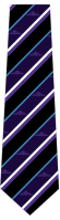 Monkwearmouth Academy Spire House (Blue Stripe) Tie